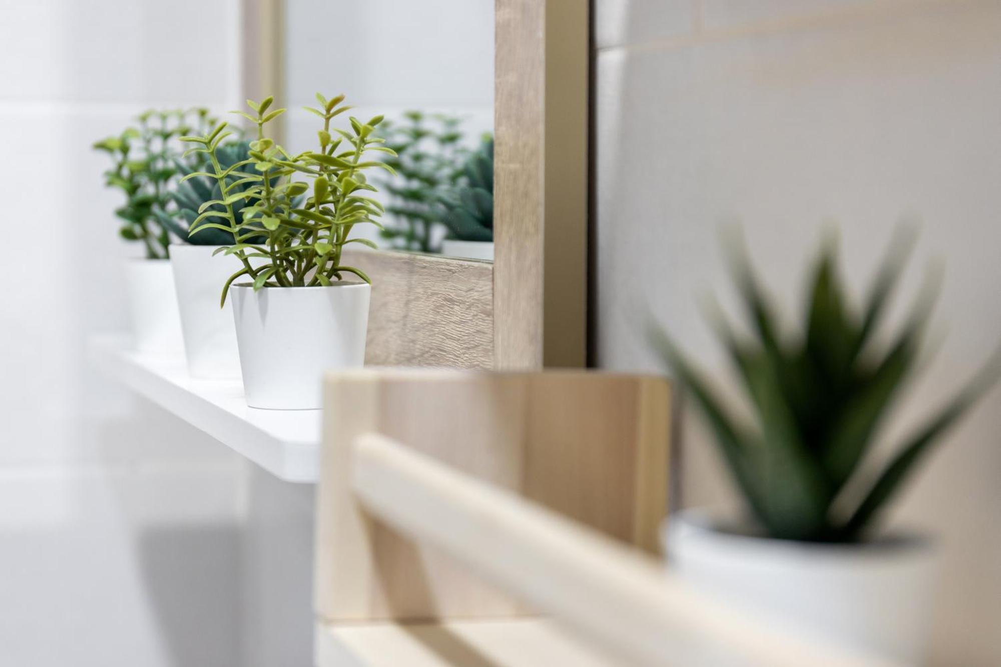El Patio Del Arquitecto Apartment Granada Ngoại thất bức ảnh
